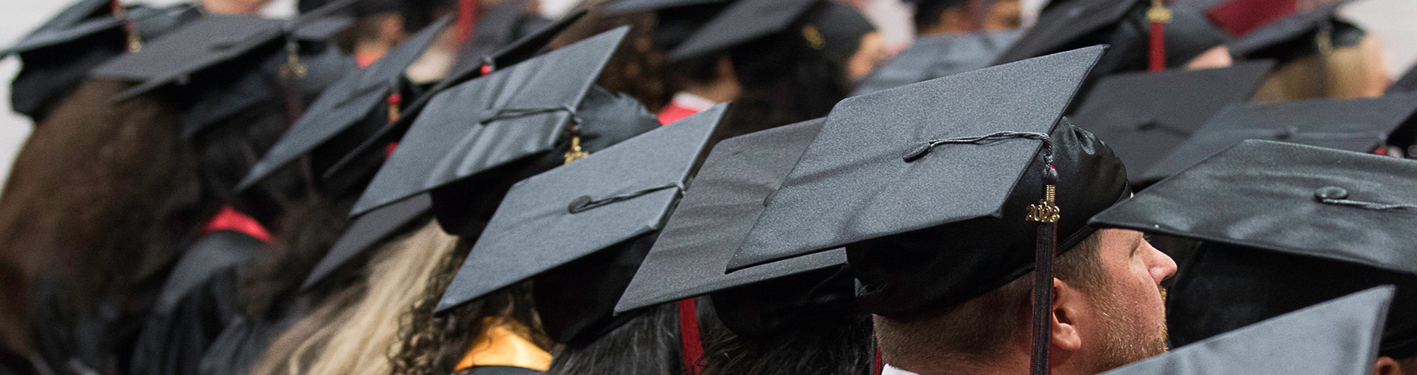 Graduation Caps